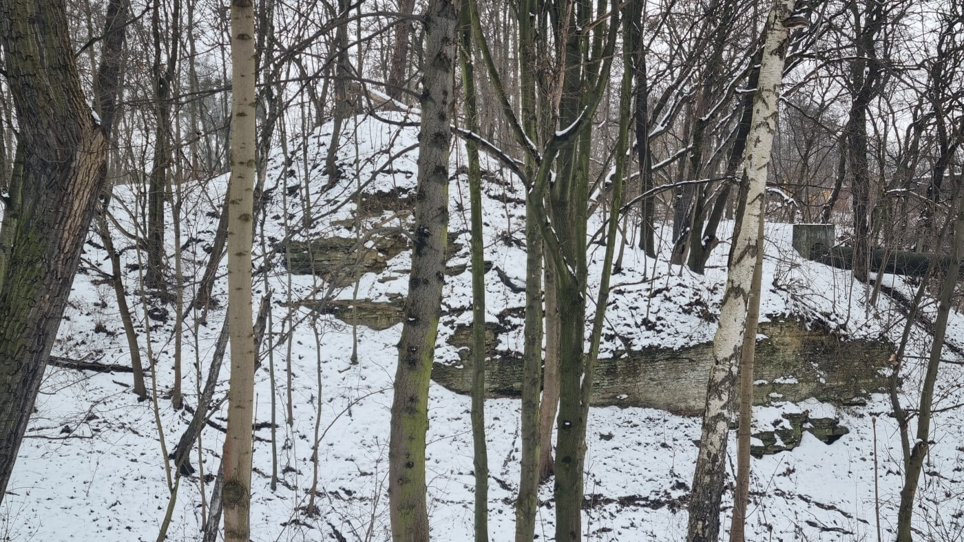 Teren dawnego Parku Ludowego w Michałkowicach