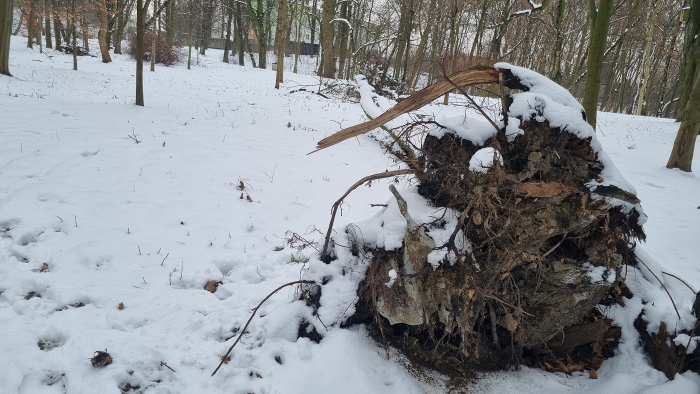 Teren dawnego Parku Ludowego w Michałkowicach
