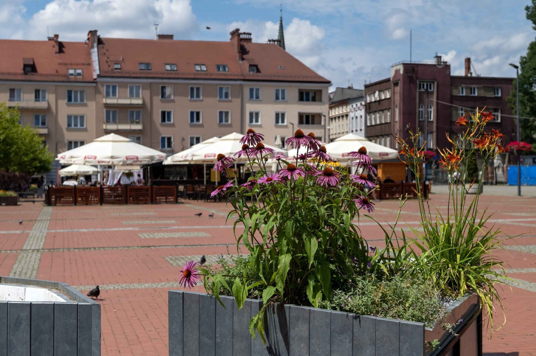 Miejskie meble na Rynku w Bytomiu