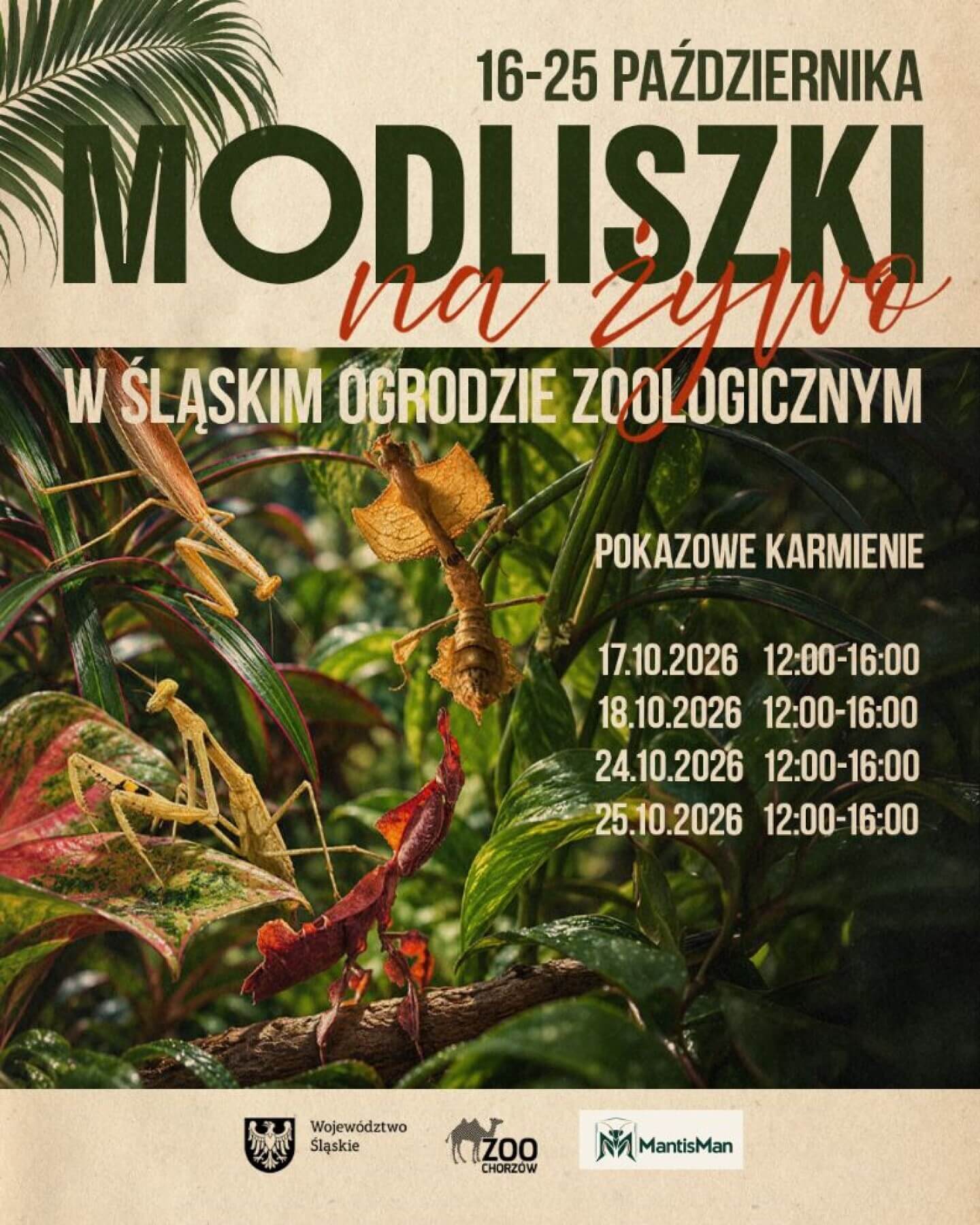 Modliszki plakat