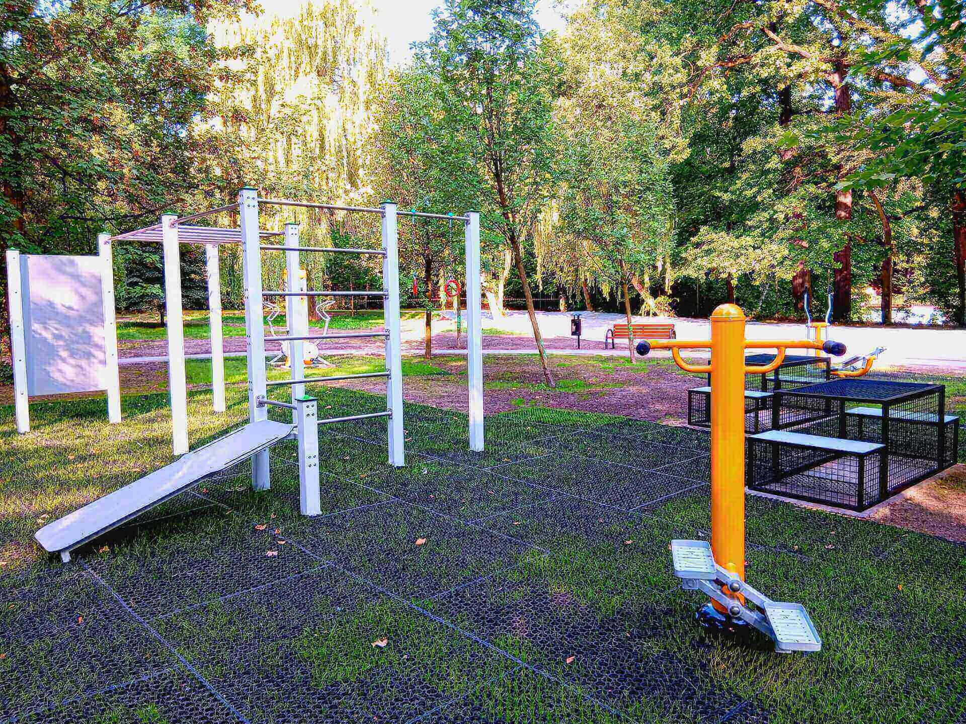 Park Lignozy w Szczygłowicach