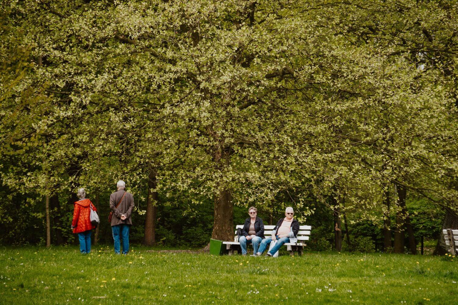 Park kosciuszki wiosna 07