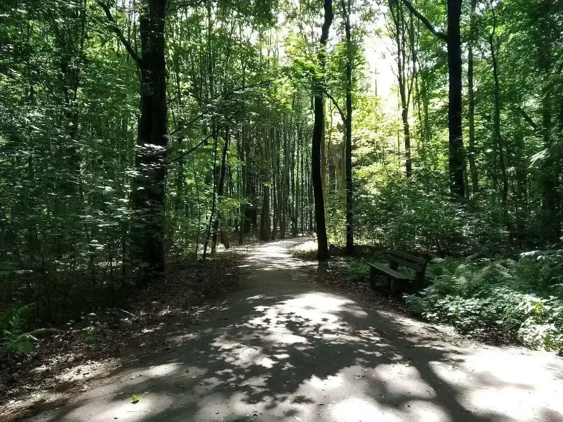 Park repecki tarnowksie gory