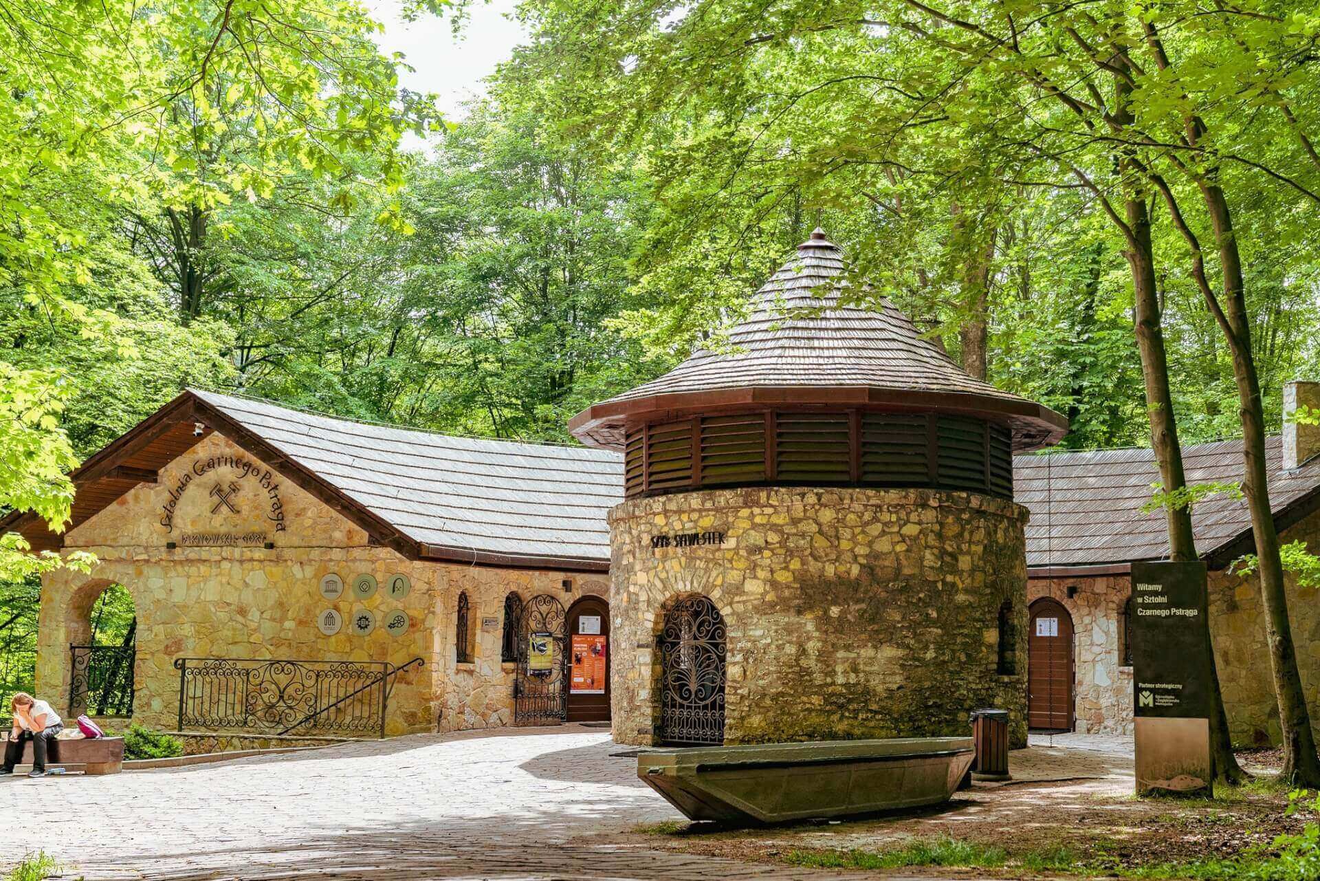 Park Repecki w Tarnowskich Górach