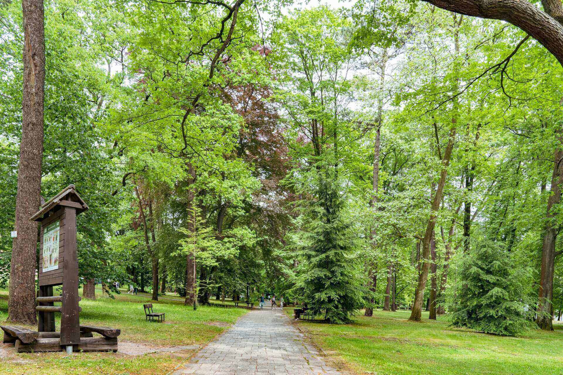 Park Repecki w Tarnowskich Górach