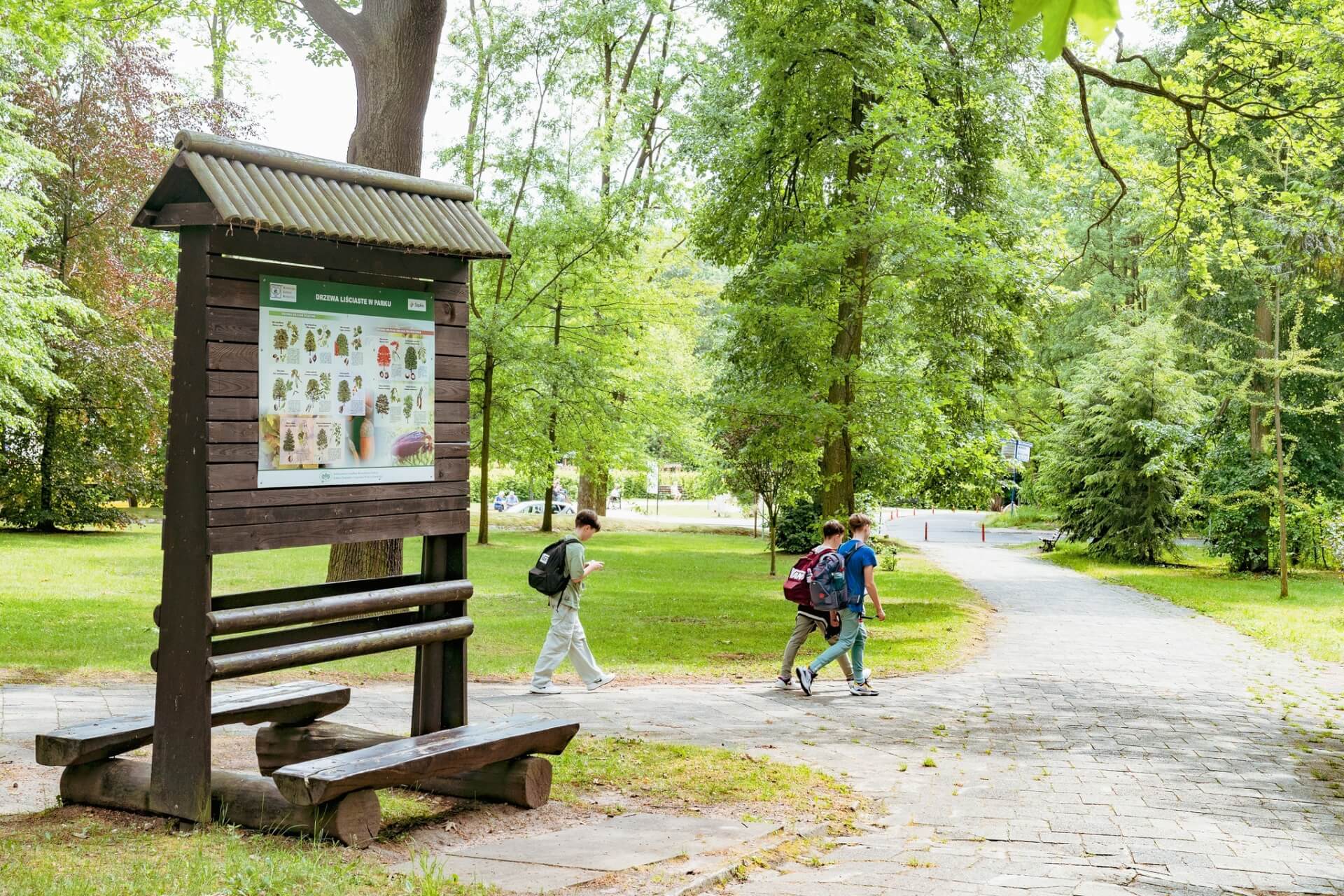 Park Repecki w Tarnowskich Górach