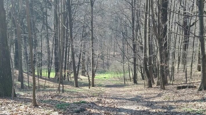 Park repecki tarnowskie gory petycja