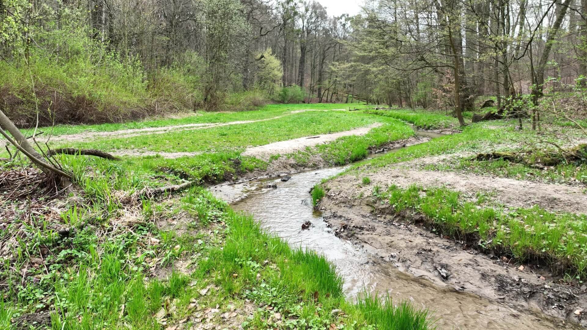 Park repecki tarnowskie gory rezerwat