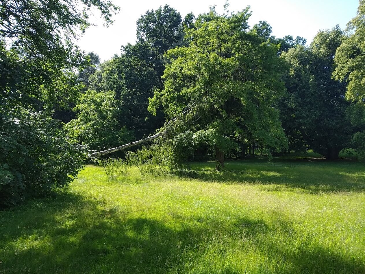 Park repecki tarnowskie gory rezerwat