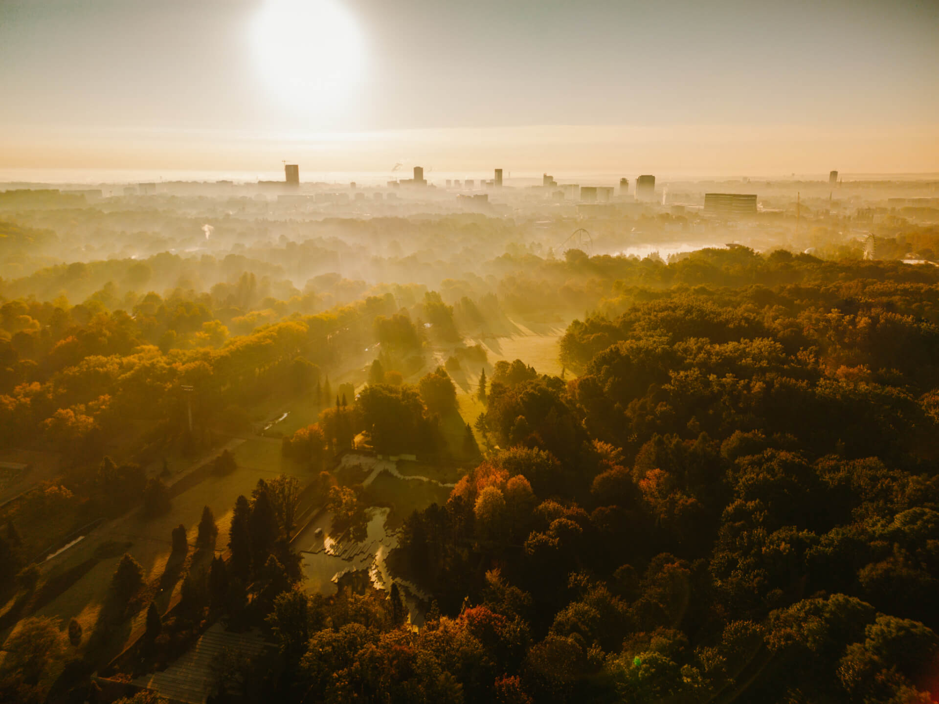 Park slaski jesien 5
