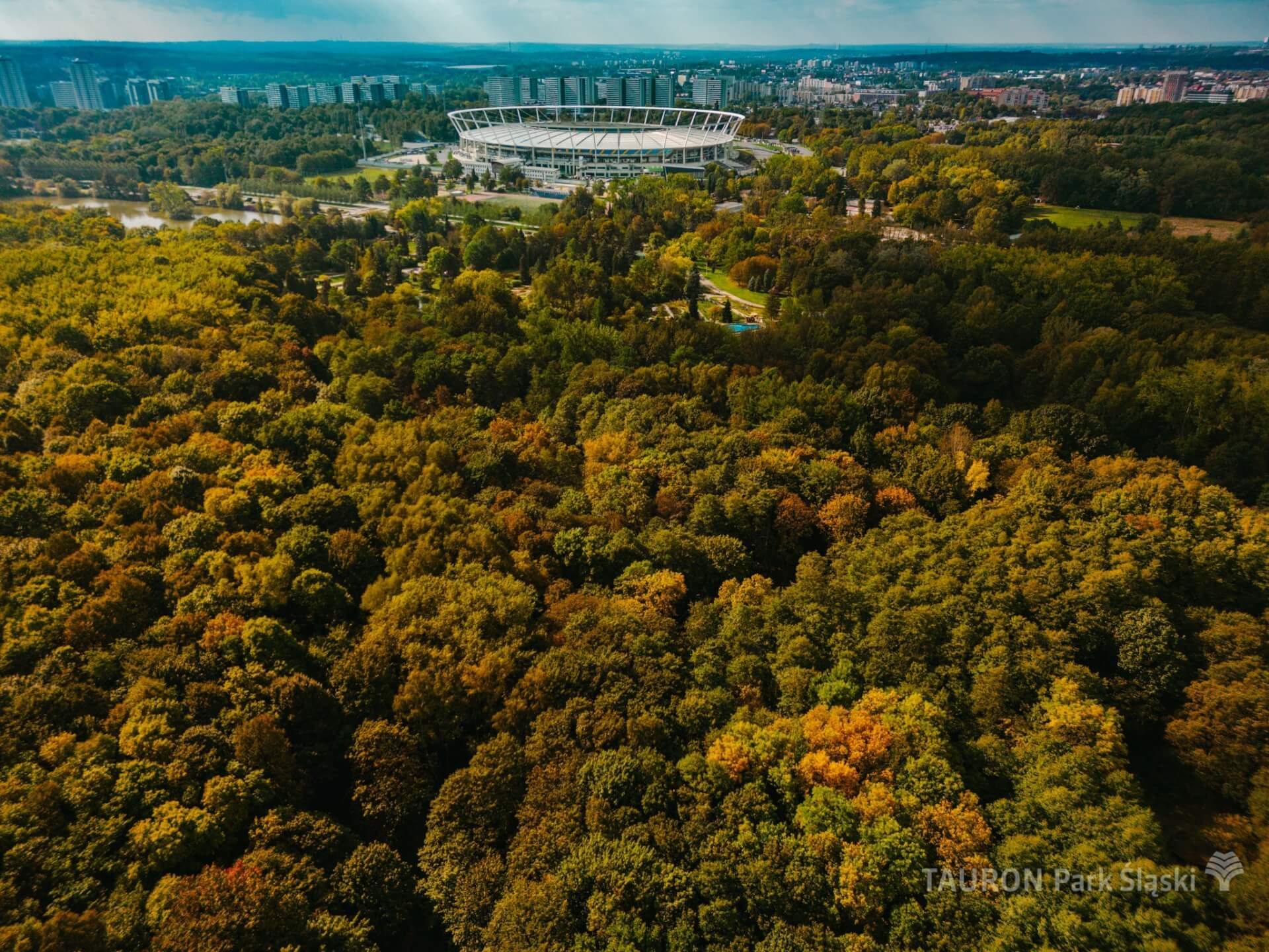 Park slaski jesien