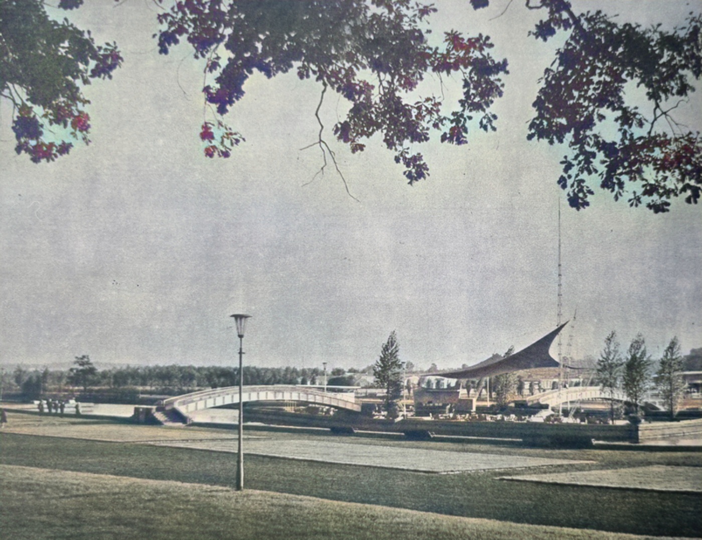Park slaski kanal regatowy duzy staw archiwalne zdjecia 15