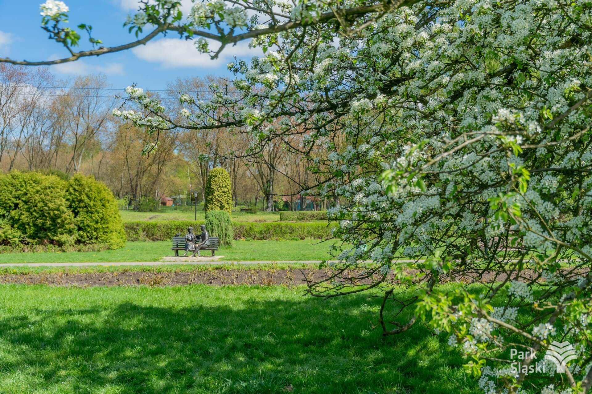 Park Śląski na majówkę 2025