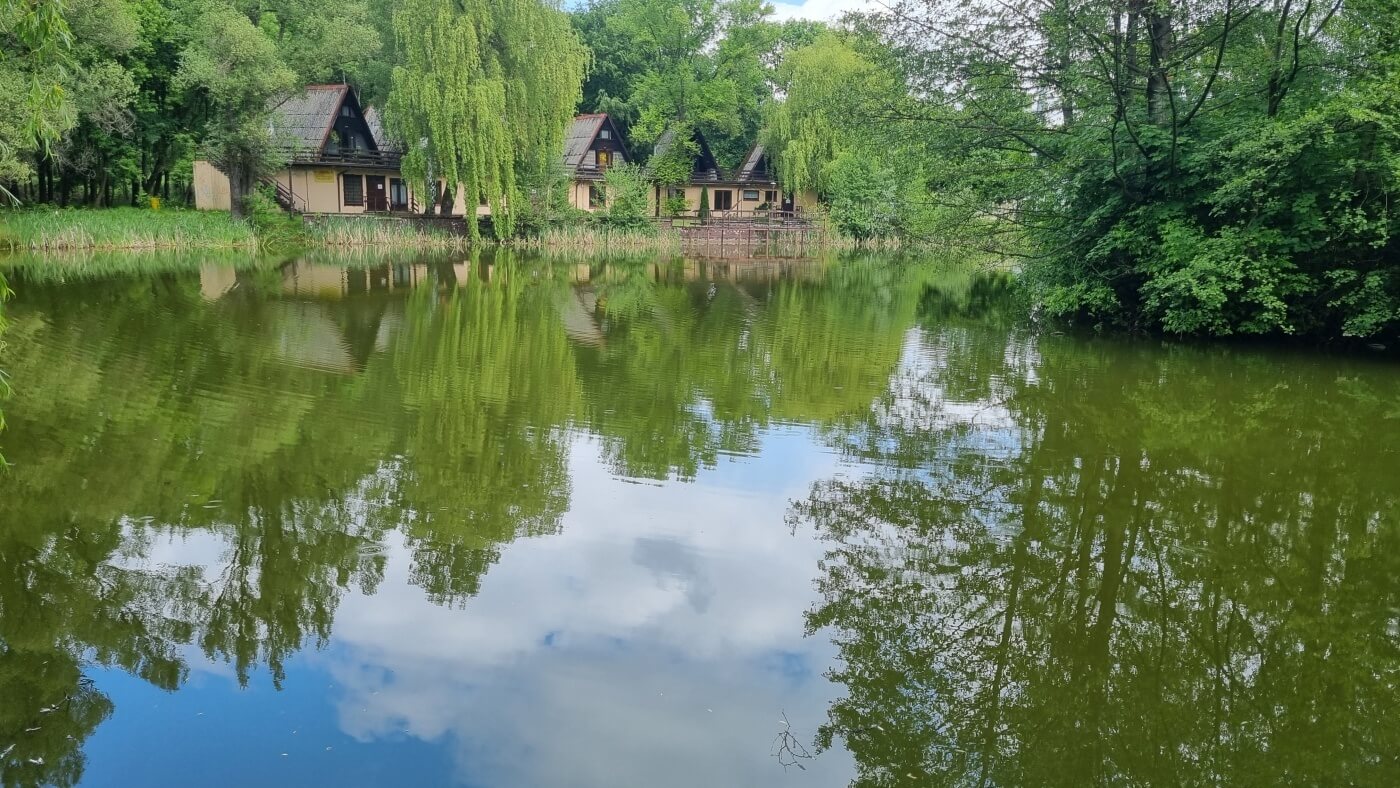 Park slaski restauracja champion 3