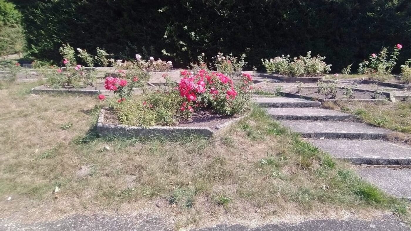 Park slaski rosarium 2