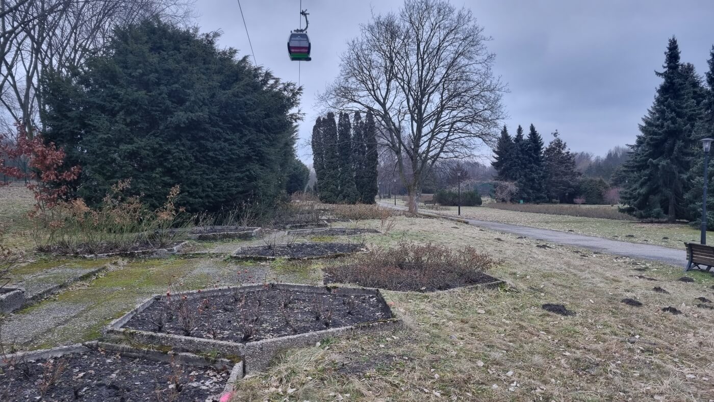 Park slaski rosarium 4