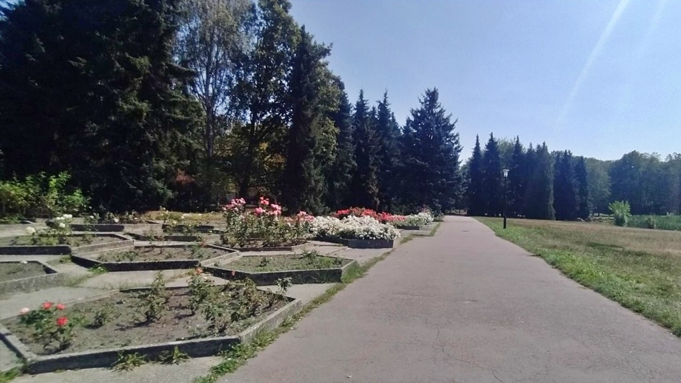 Park slaski rosarium 5