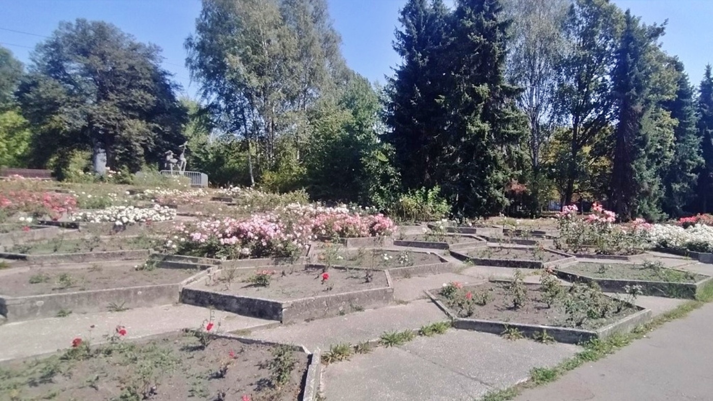 Park slaski rosarium 6