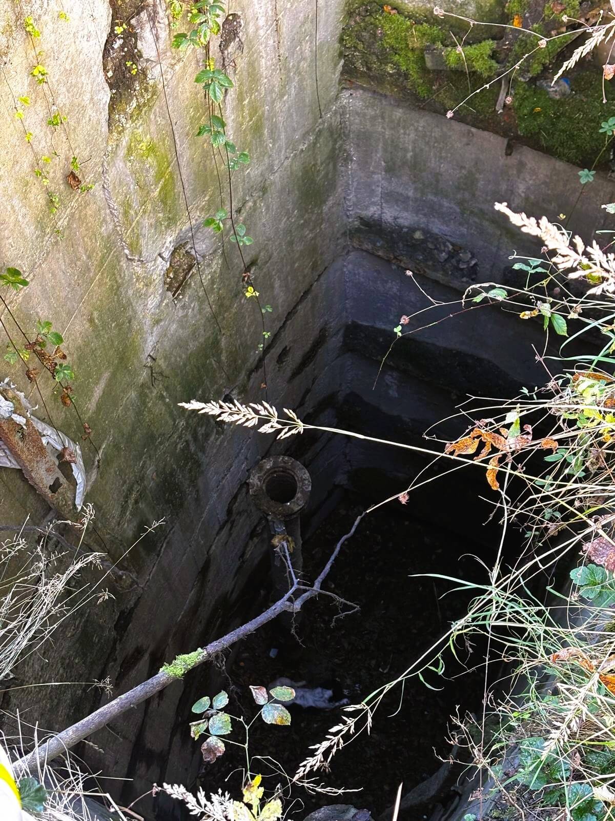 Niezabezpieczony szyb w Łaziskach Górnych. Do głębokiego na 10 metrów dołu wpadł pies