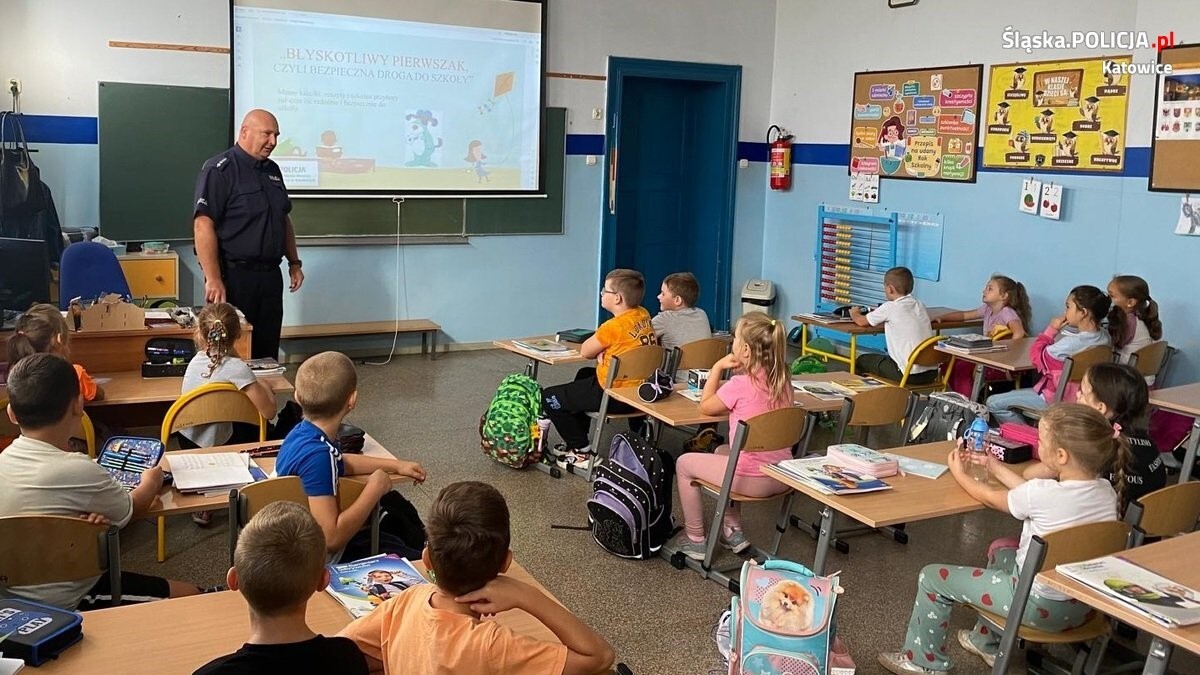 Policja w szkole prof