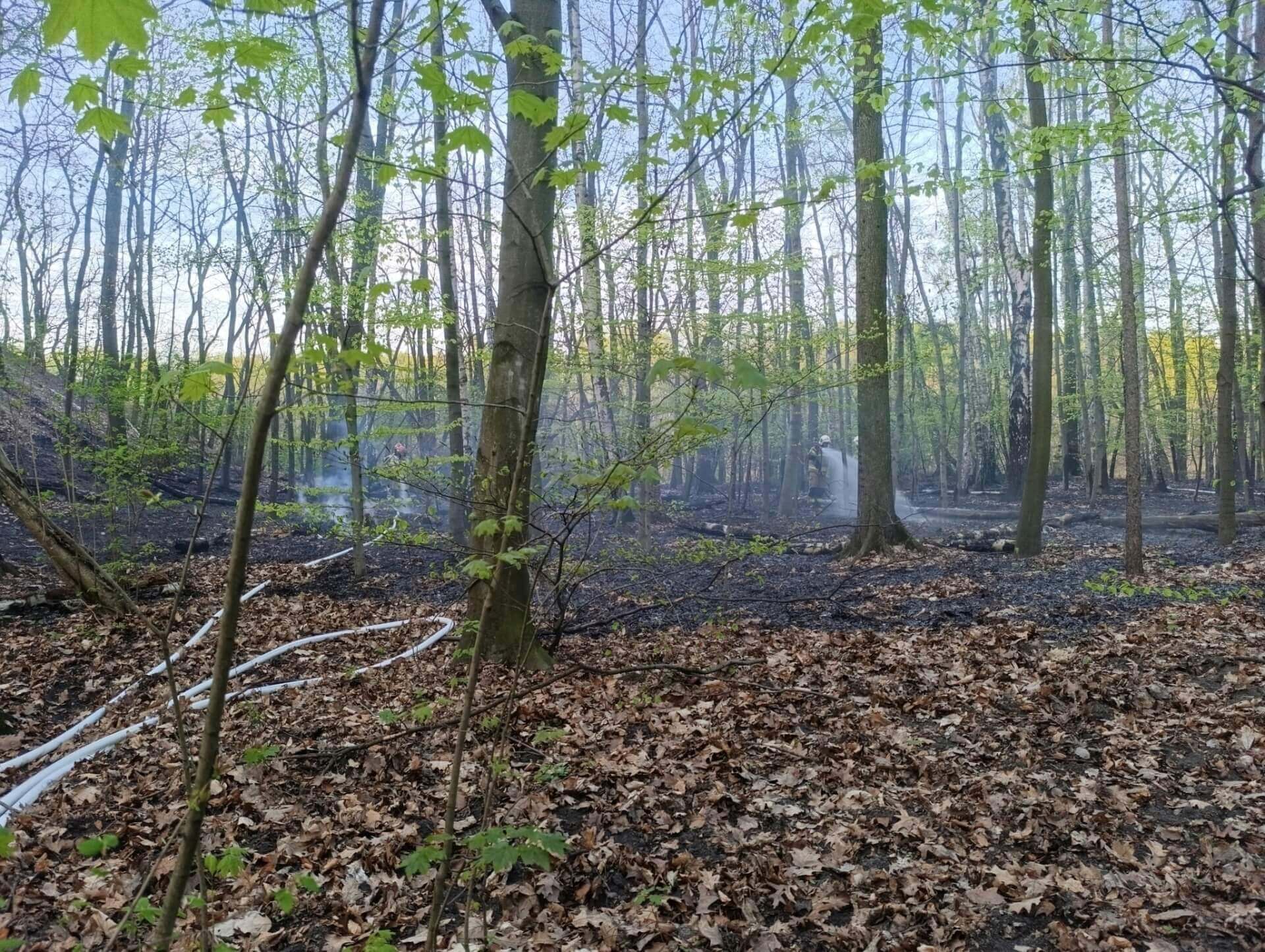 Interwencje KSRG OSP Czekanów