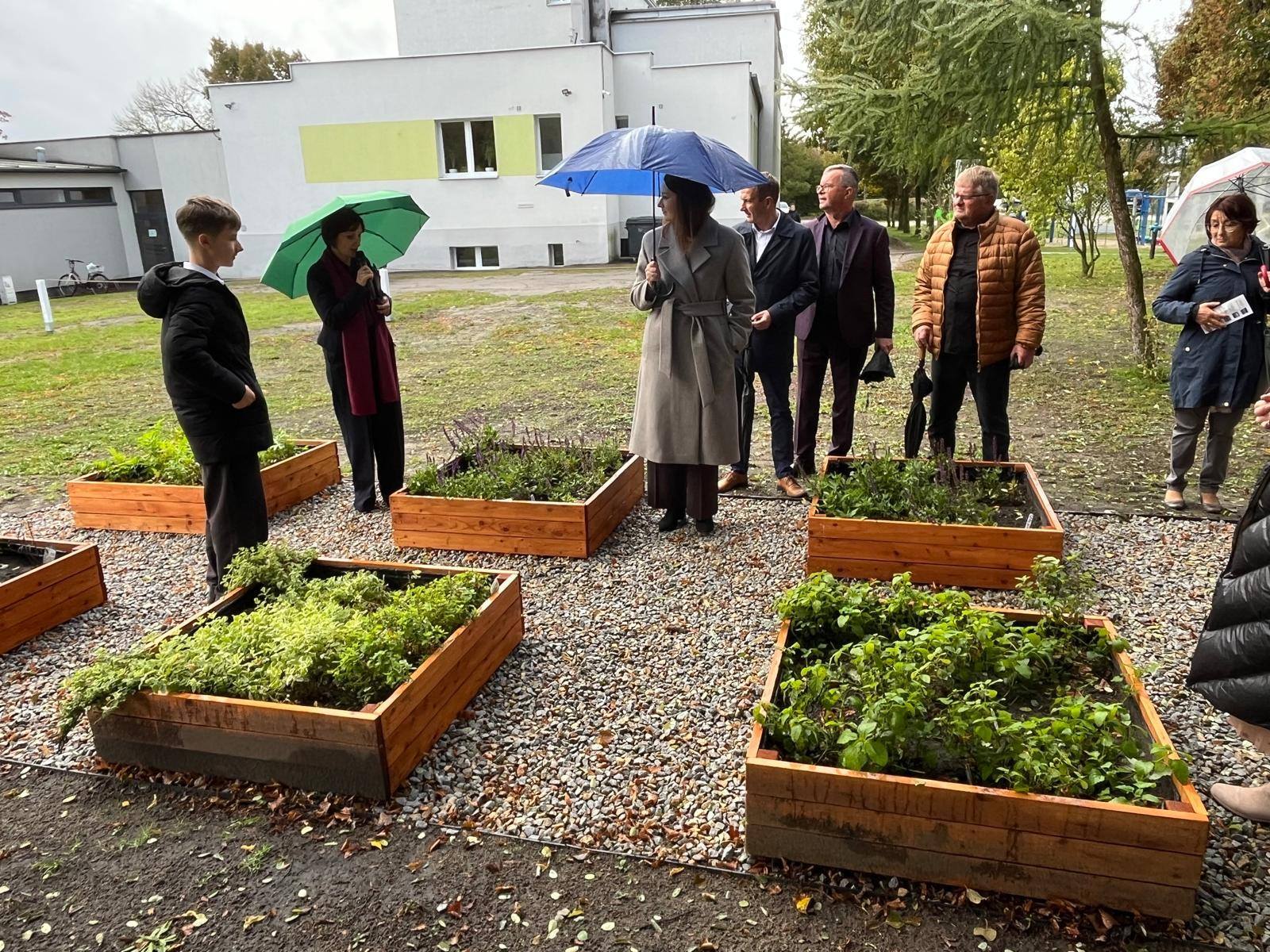 Ekopracownia pod chmurką w Boruszowicach