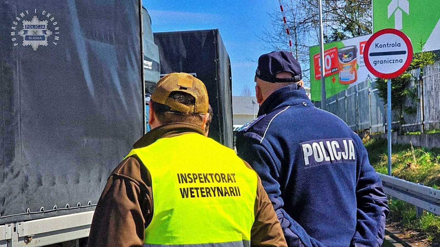 Obrona przed pryszczycą. Kolejne ograniczenia na granicy