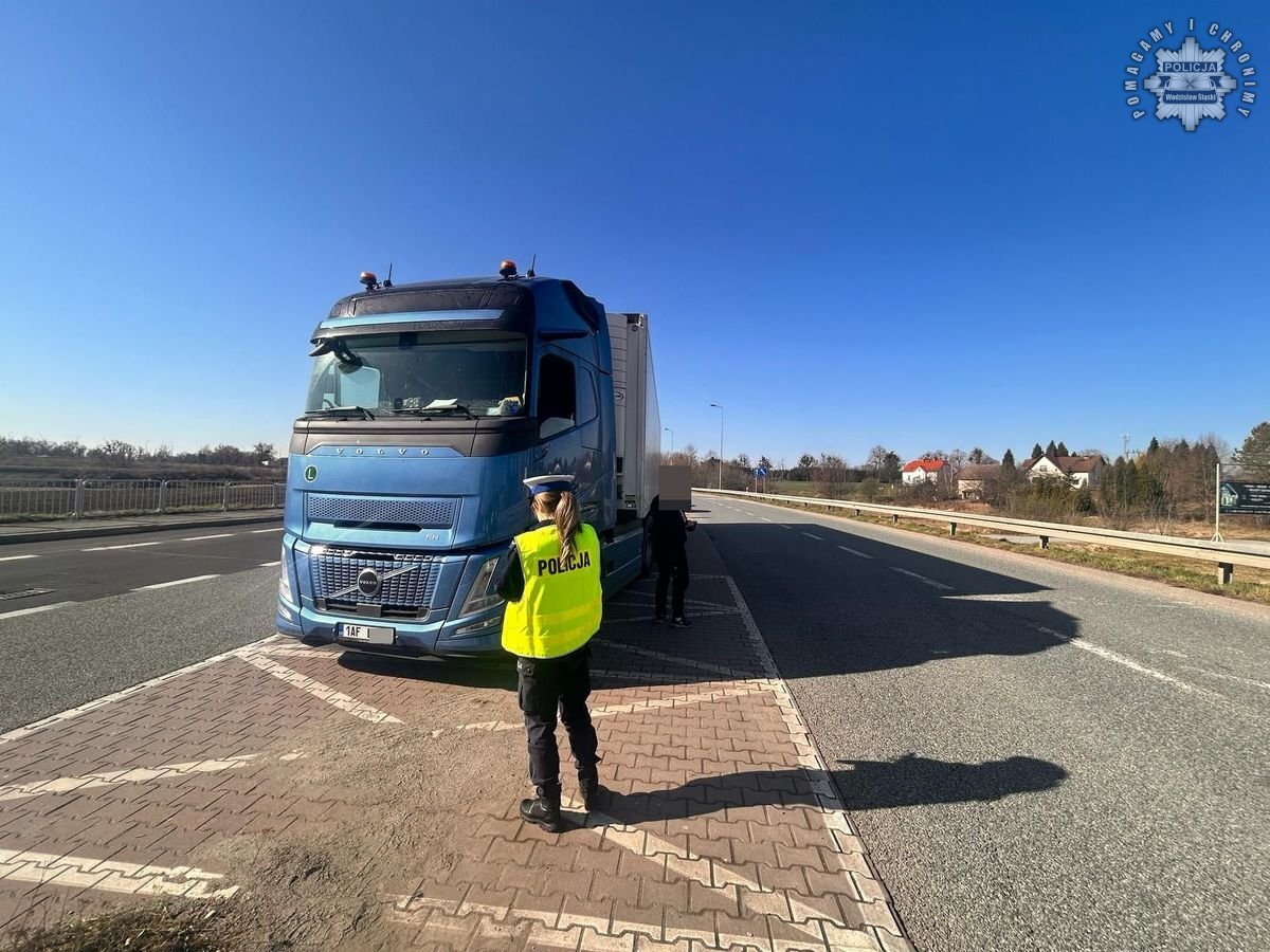 Pryszczyca kontrole na granicy 5