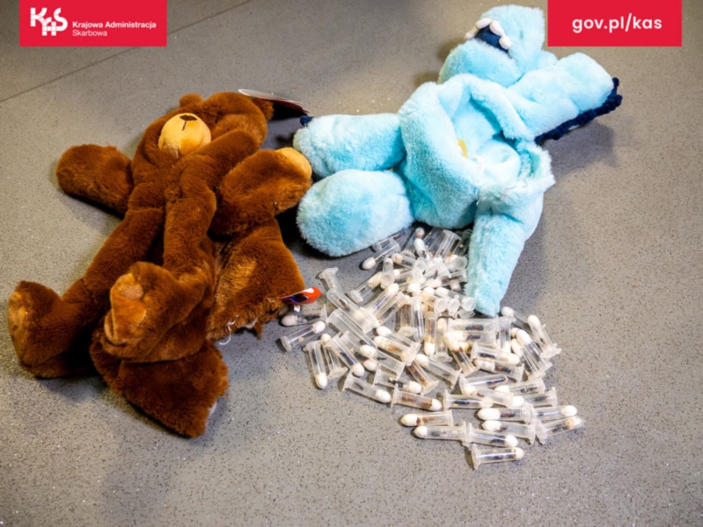 Pyrzowice przemyt mrowek 1