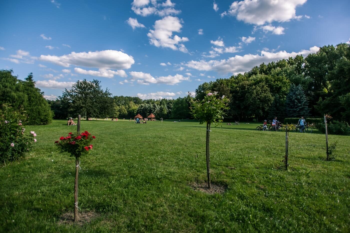 Rosarium park slaski 5