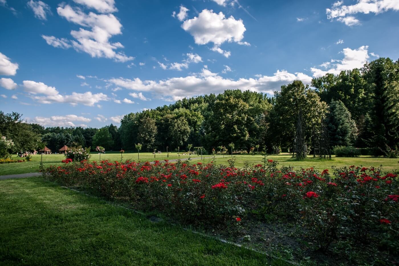 Rosarium park slaski 7