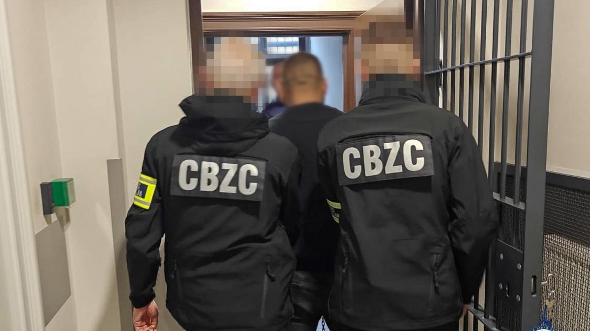 Rozbito grupę handlującą w sieci podrobionymi farmaceutykami