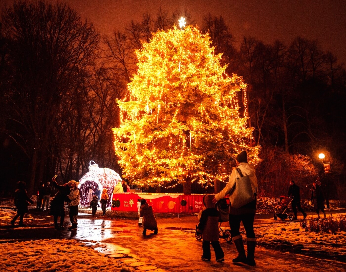 Rozswietlenie choinki park slaski 1