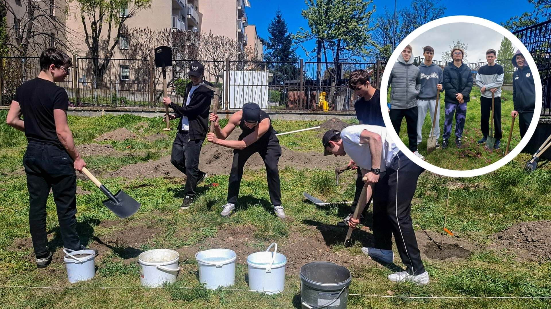 Owoce nauki... ze szkolnego sadu w V LO Bytomiu