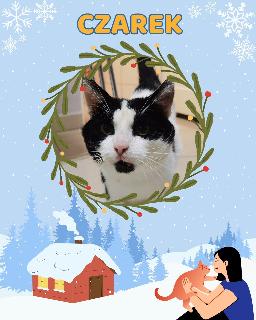 Przezimuj bezdomniaka 2026