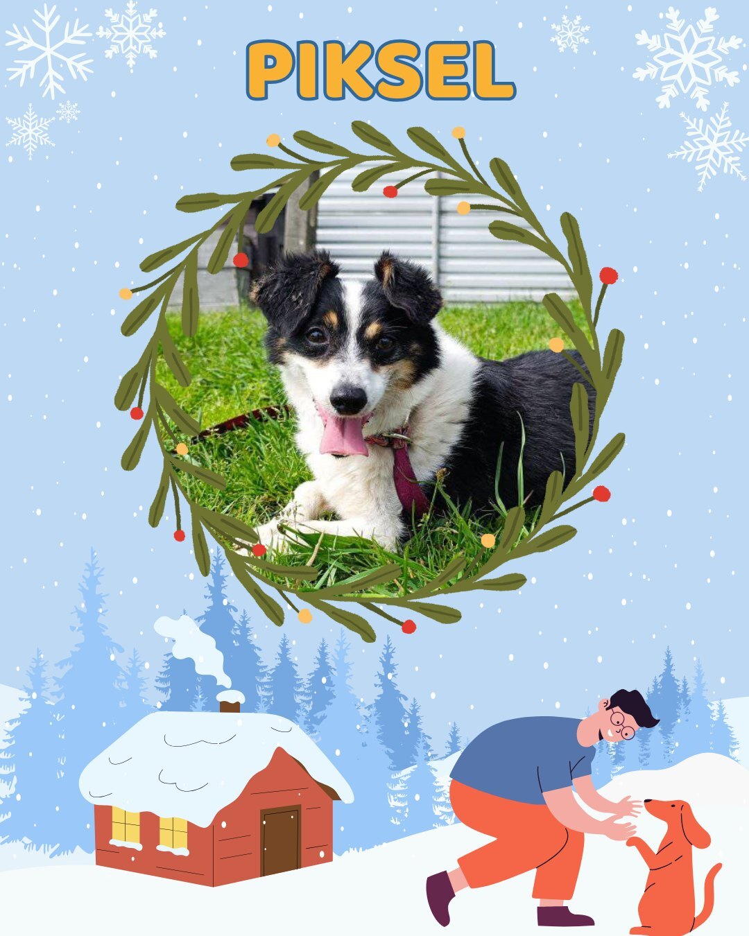 Przezimuj bezdomniaka 2026