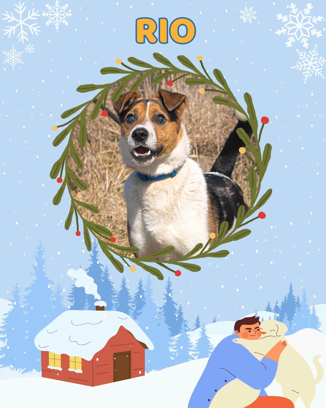 Przezimuj bezdomniaka 2026