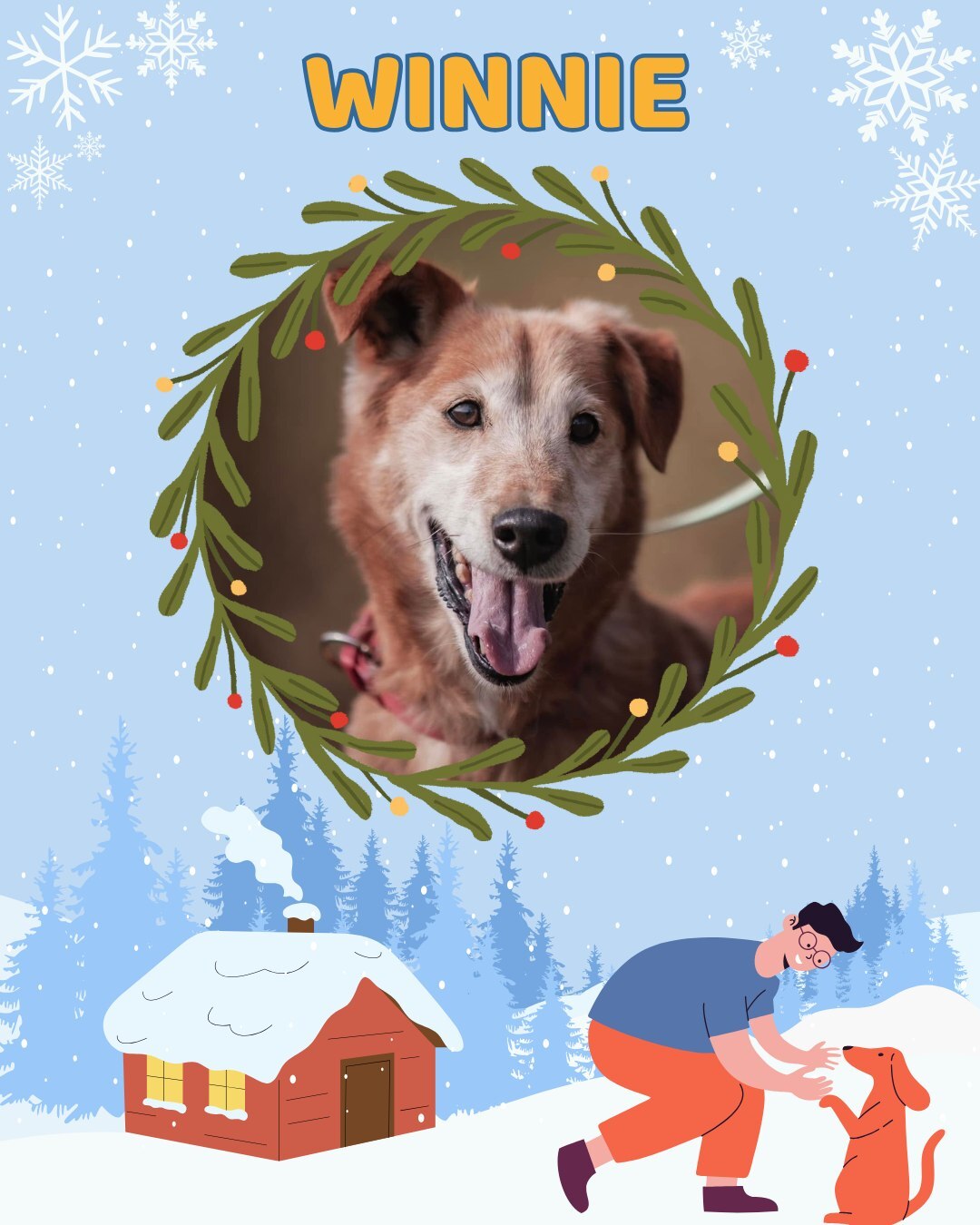 Przezimuj bezdomniaka 2026