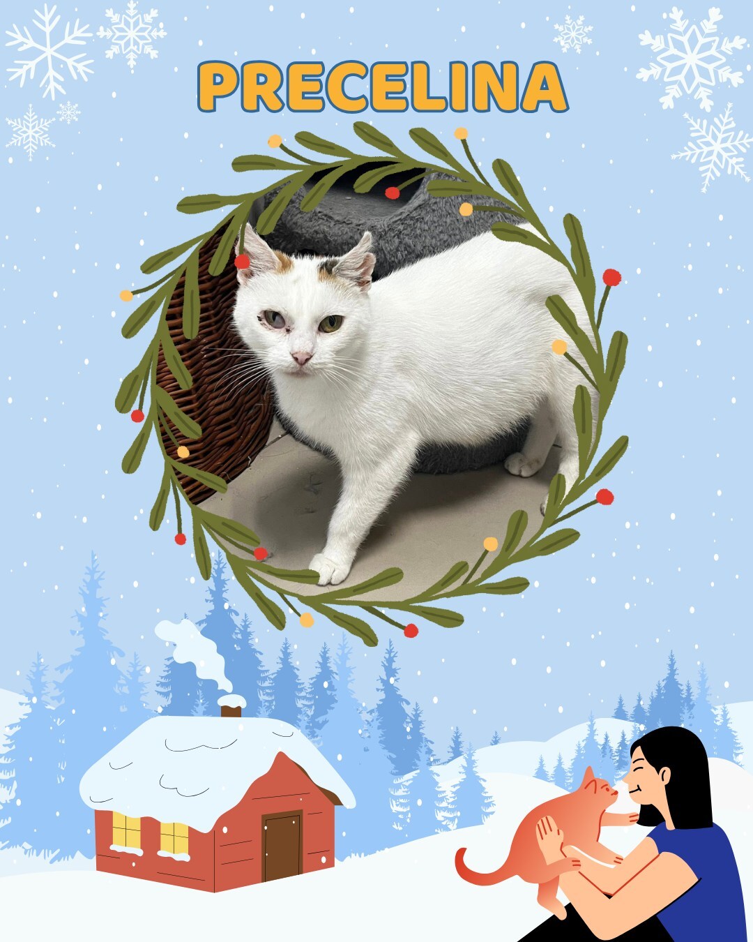 Przezimuj bezdomniaka 2026