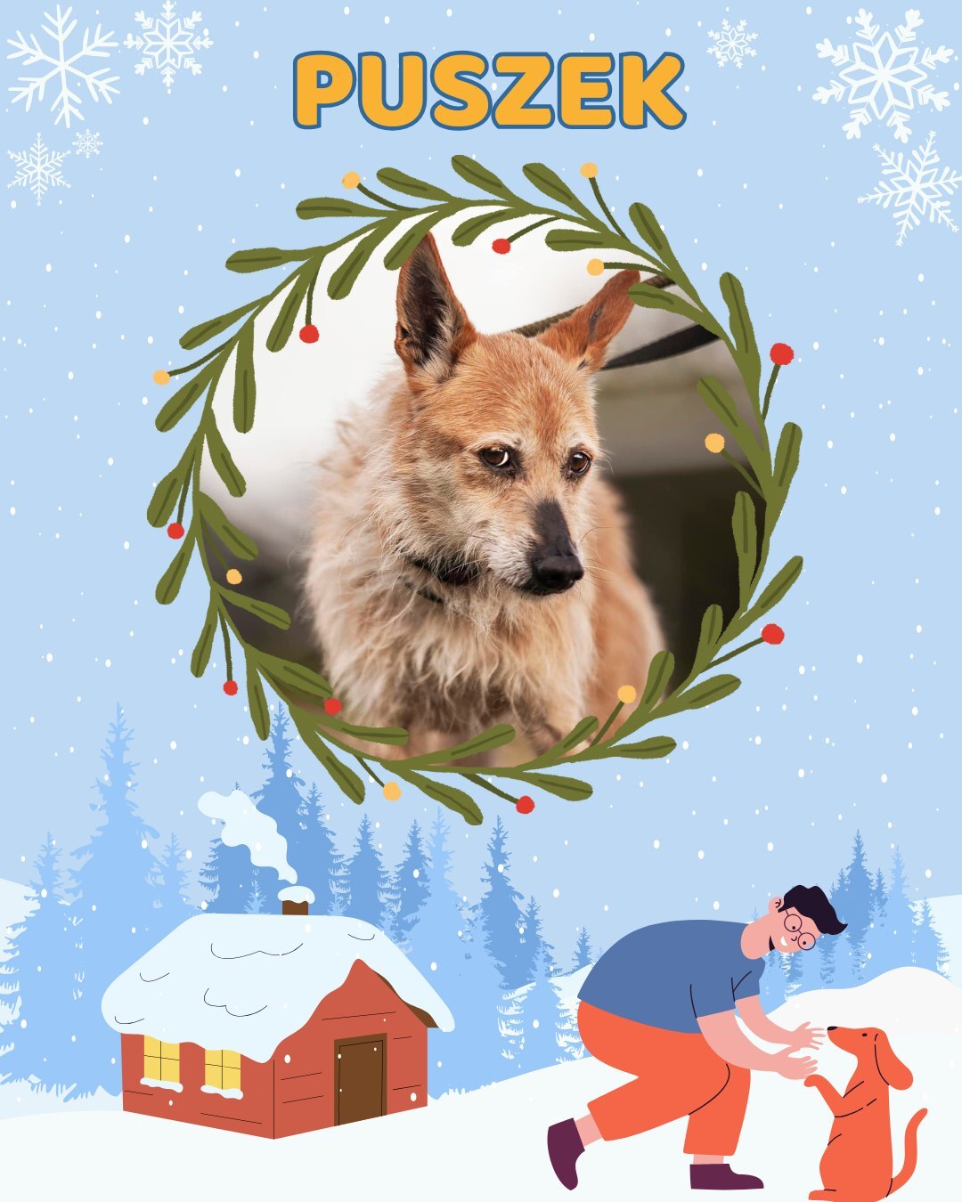 Przezimuj bezdomniaka 2026