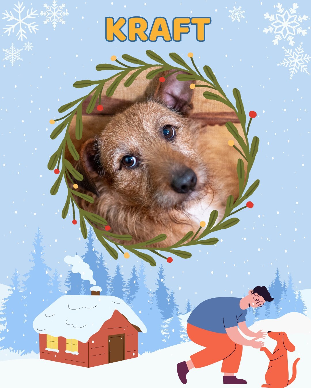 Przezimuj bezdomniaka 2026