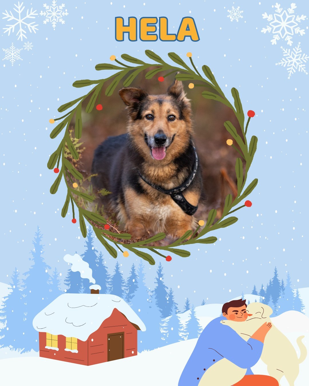 Przezimuj bezdomniaka 2026