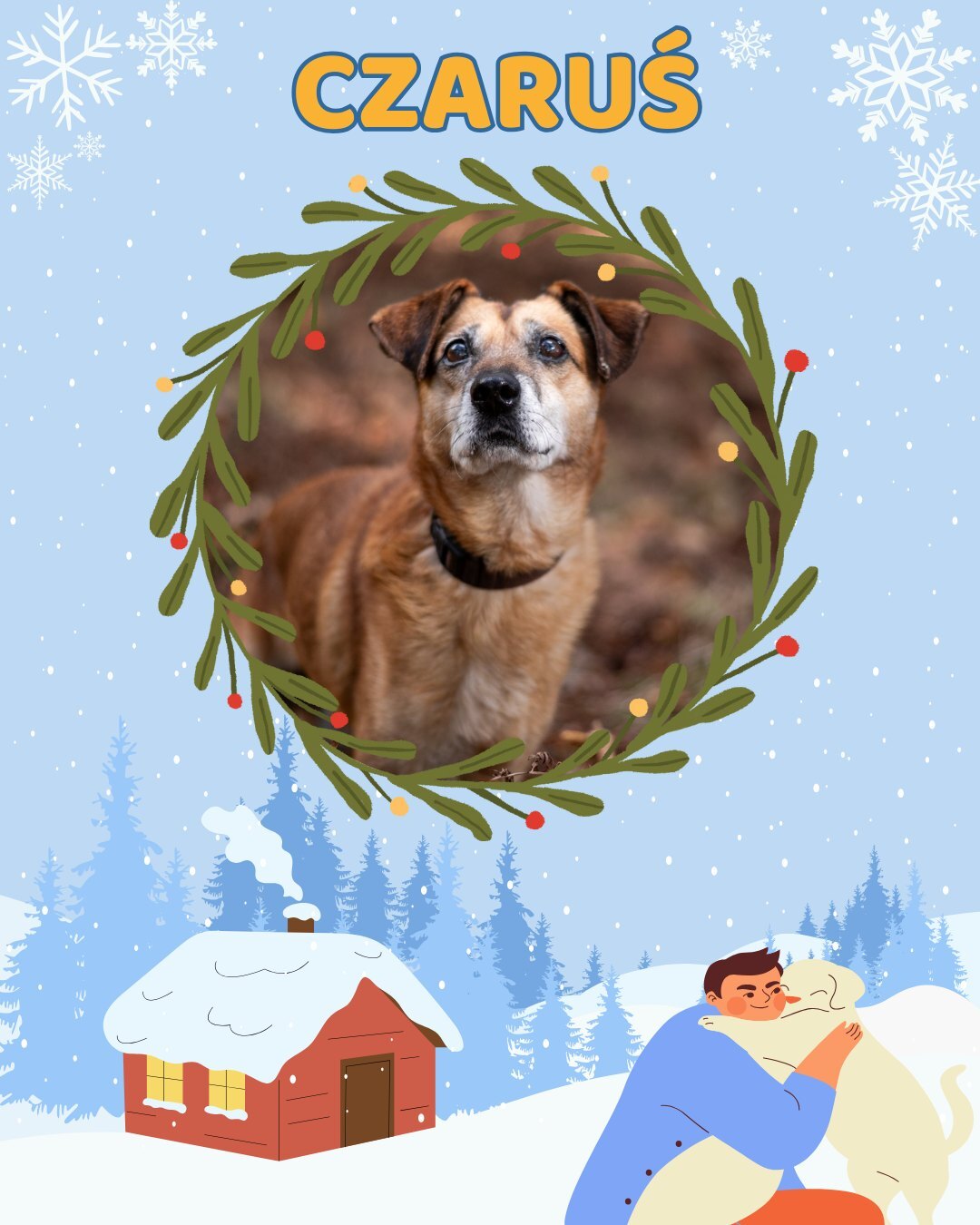 Przezimuj bezdomniaka 2026