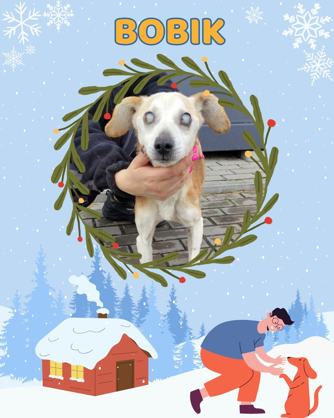 Przezimuj bezdomniaka 2026