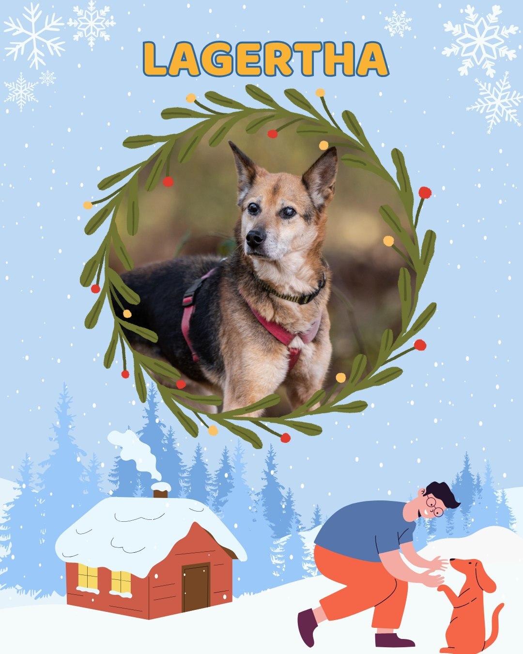 Przezimuj bezdomniaka 2026