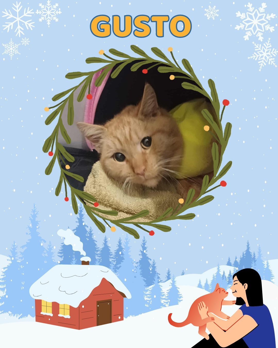 Przezimuj bezdomniaka 2026