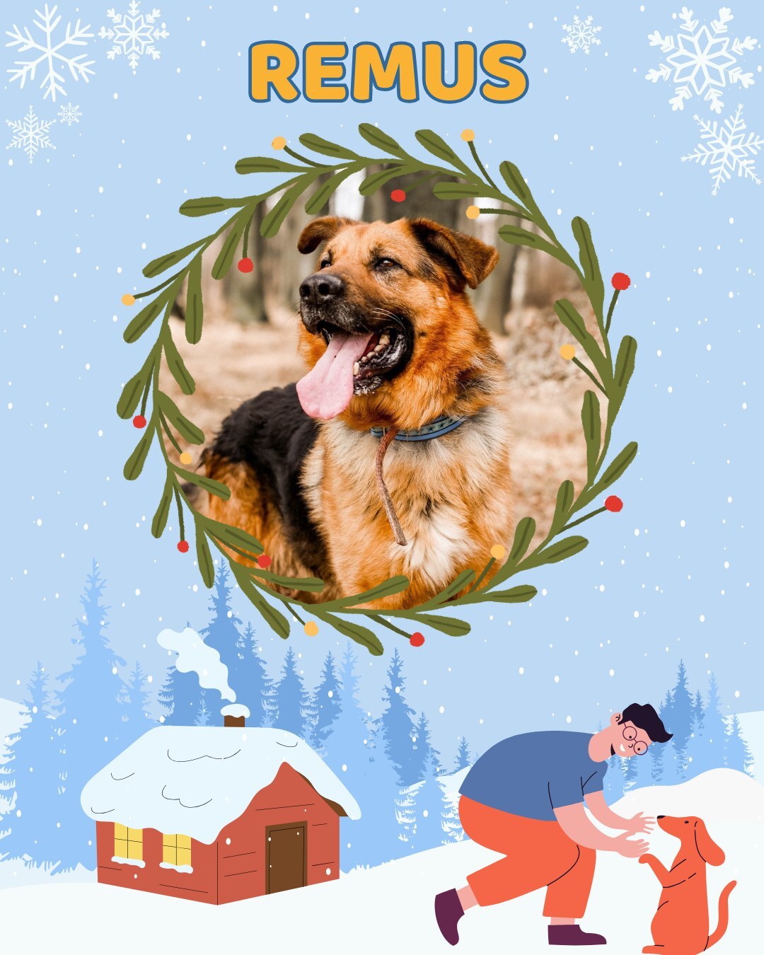 Przezimuj bezdomniaka 2026