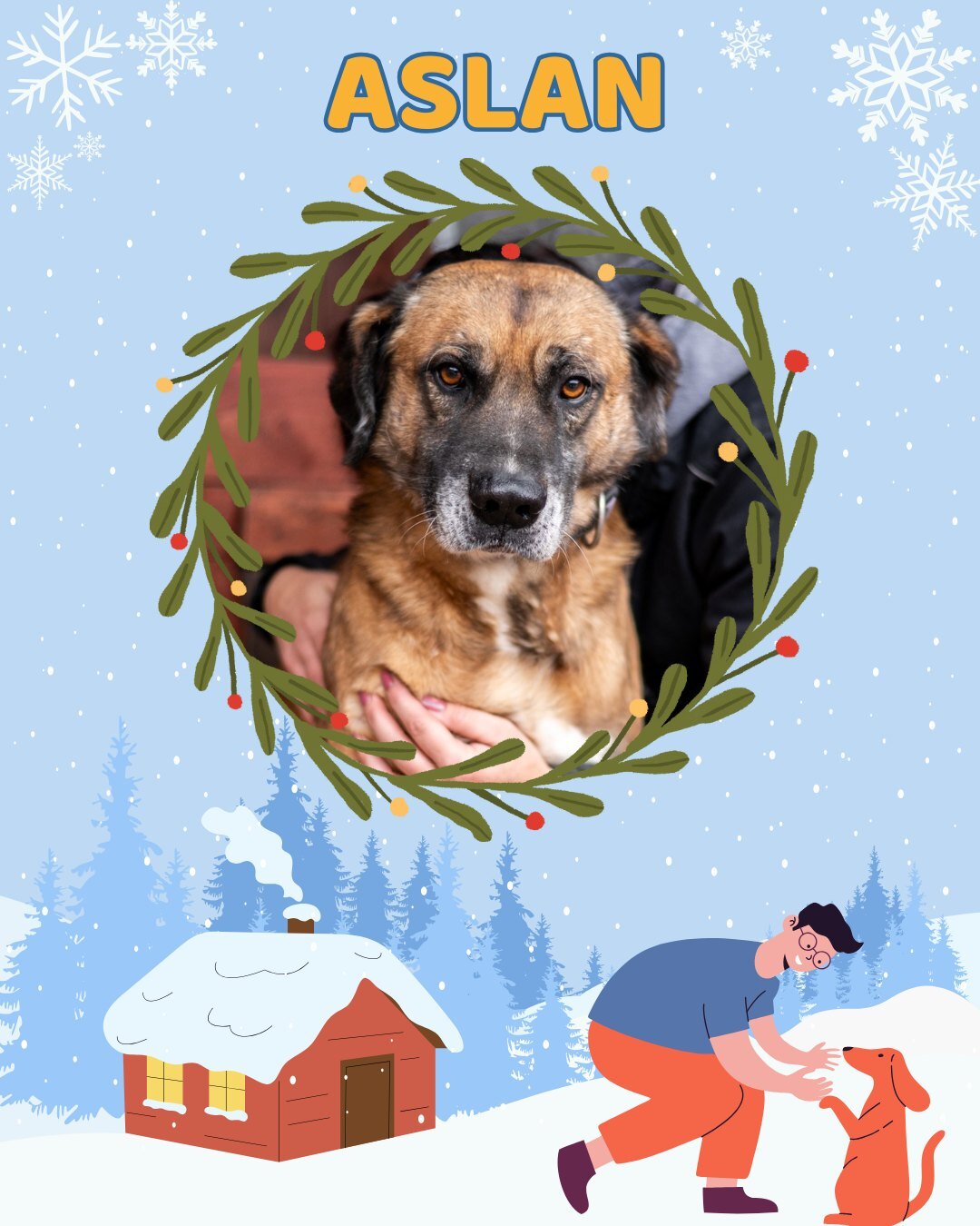 Przezimuj bezdomniaka 2026