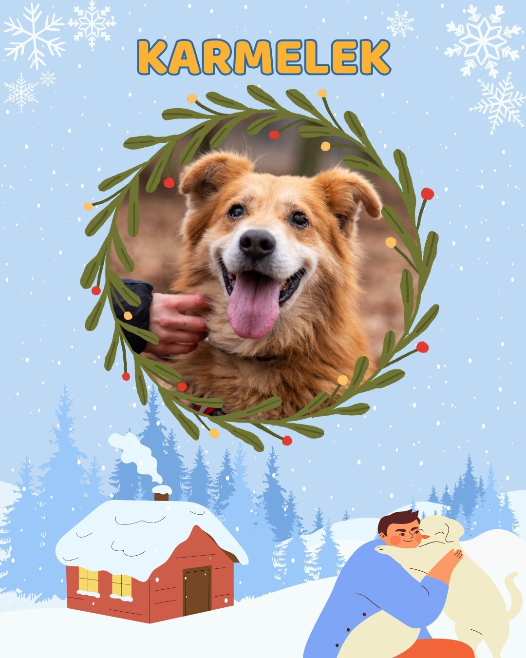 Przezimuj bezdomniaka 2026