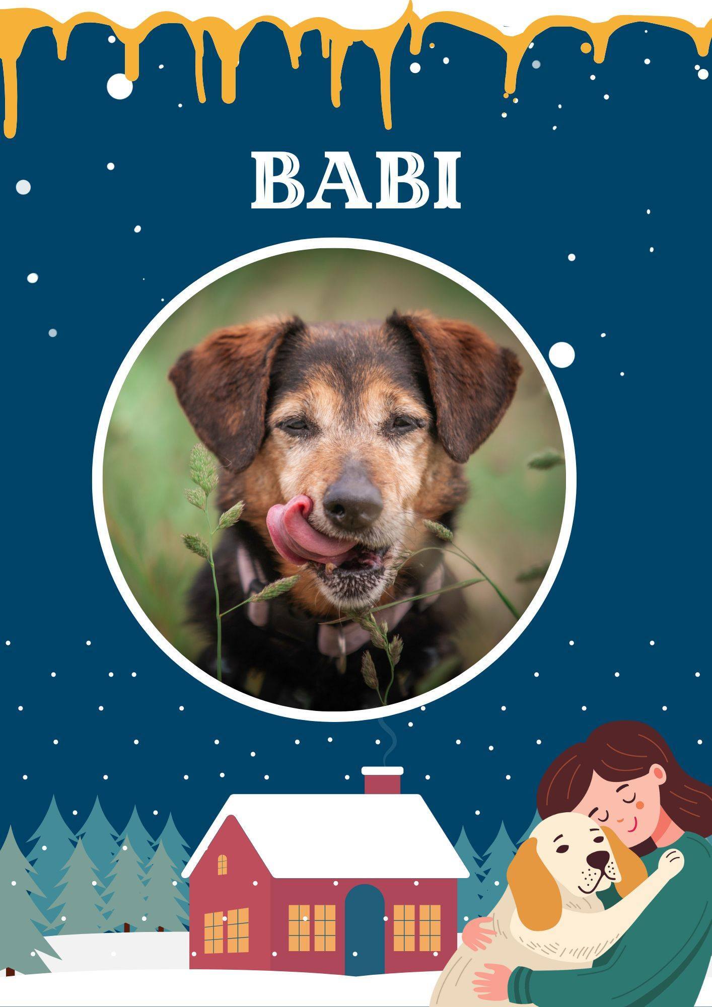 Akcja Przezimuj Bezdomniaka